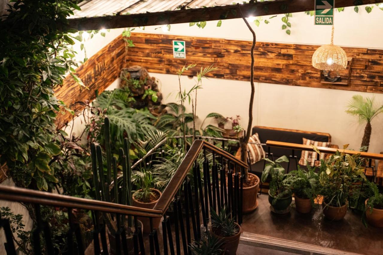 Black Llama Hostel Miraflores Lima Zewnętrze zdjęcie