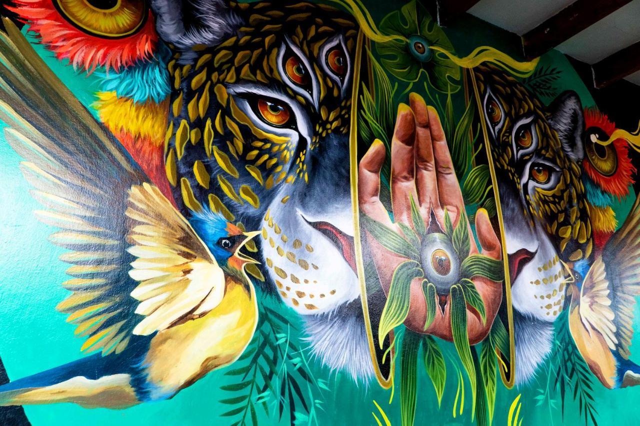Black Llama Hostel Miraflores Lima Zewnętrze zdjęcie