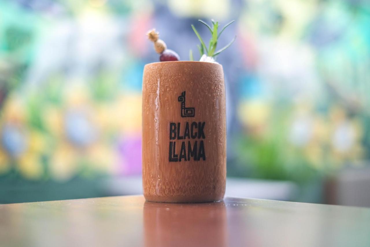 Black Llama Hostel Miraflores Lima Zewnętrze zdjęcie