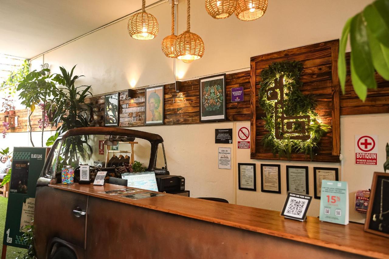 Black Llama Hostel Miraflores Lima Zewnętrze zdjęcie