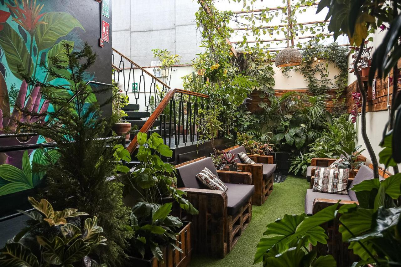 Black Llama Hostel Miraflores Lima Zewnętrze zdjęcie